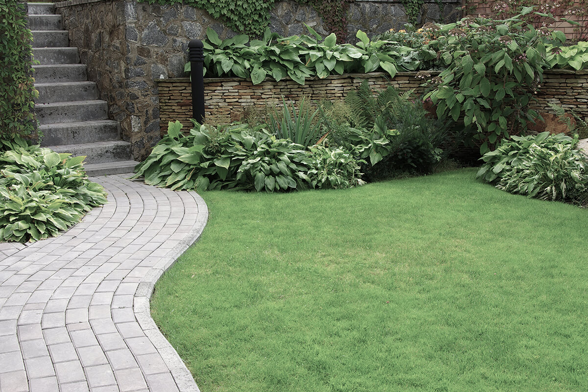 Welcome to Eddies Landscaping